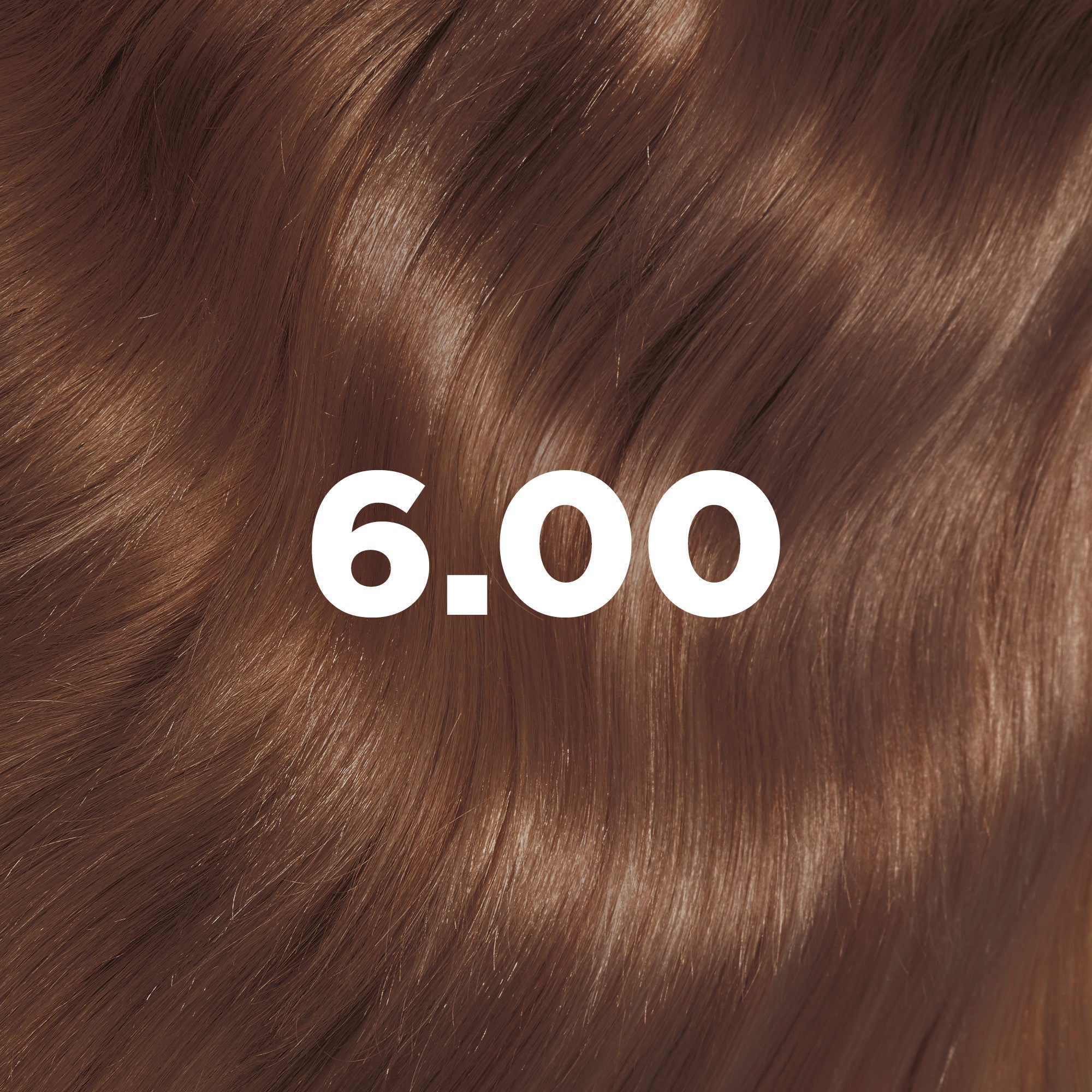 Muestra de color 6.00 Rubio Oscuro