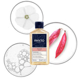 Phyto Color Shampoo Protector del Color 250ml — DermaPharma
